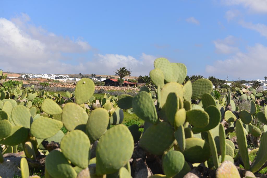 Villa Taguluche פאמארה מראה חיצוני תמונה
